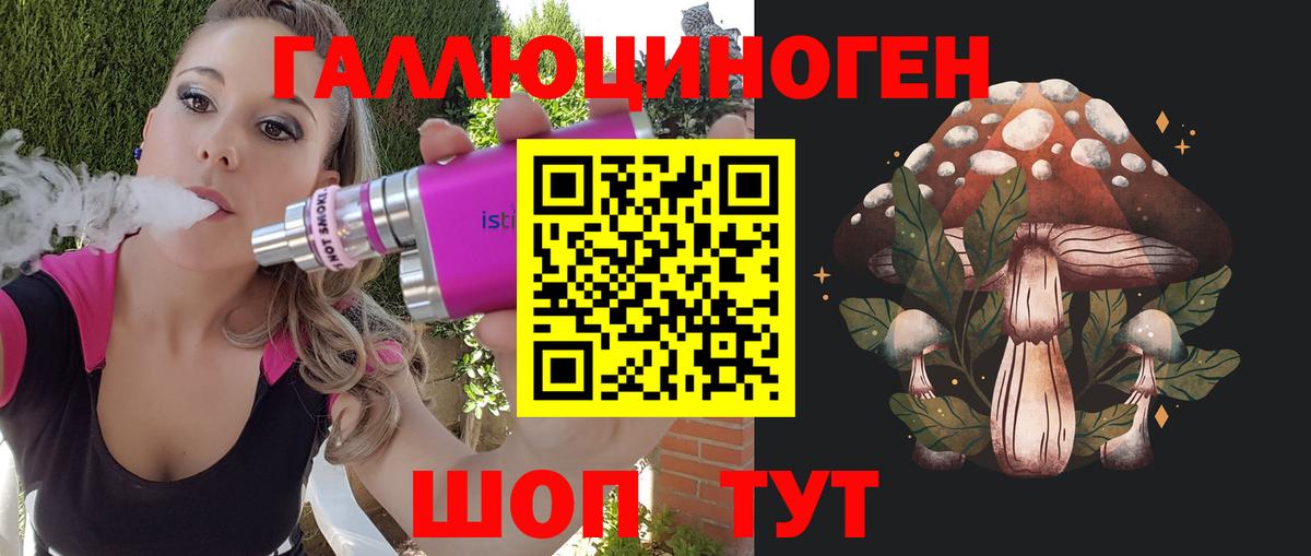 Тайшет  Псилоцибиновые грибы Magic Shrooms  Вход с VPN 